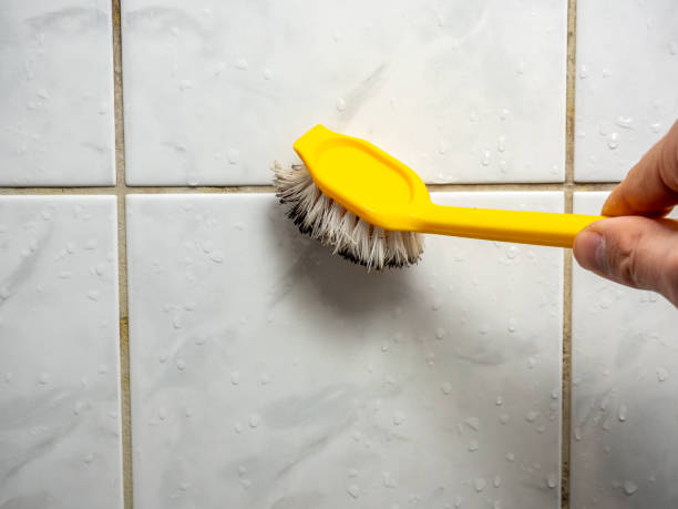 Best Toxic Mold Removal  in Churchville, PA