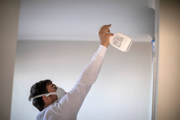 Best Mold Testing  in Churchville, PA