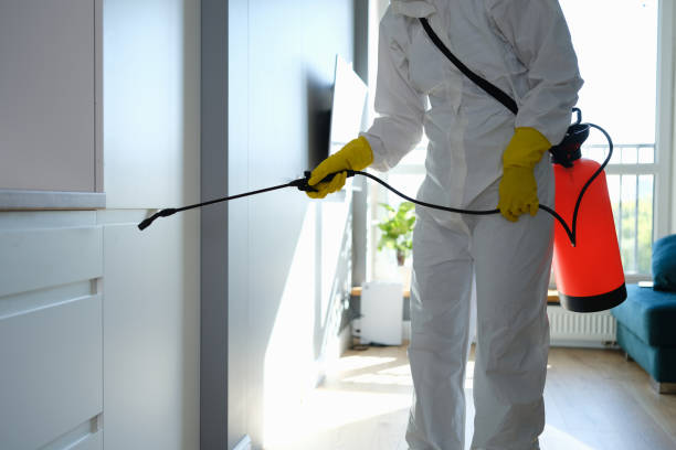 Mold Removal and Inspection in Churchville, PA