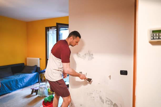 Best Residential Mold Removal  in Churchville, PA