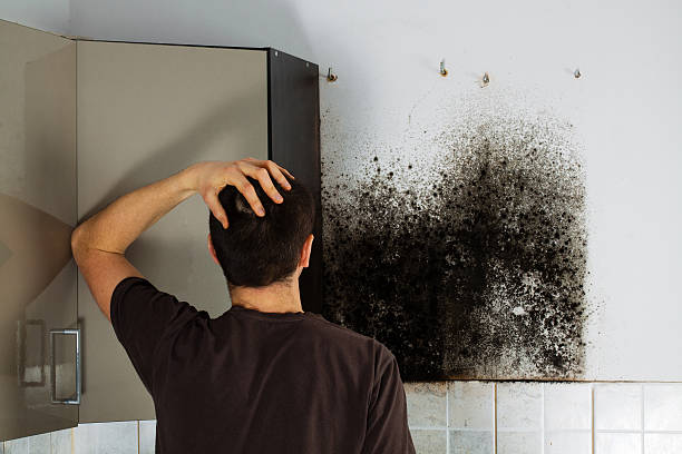 Best Mold Cleaning Services  in Churchville, PA